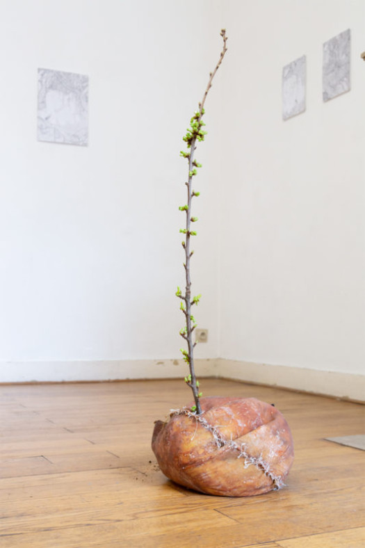 Tom Hallet