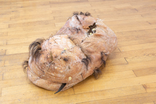 Tom Hallet